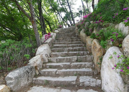부산외국어대학교 홍보용 이미지